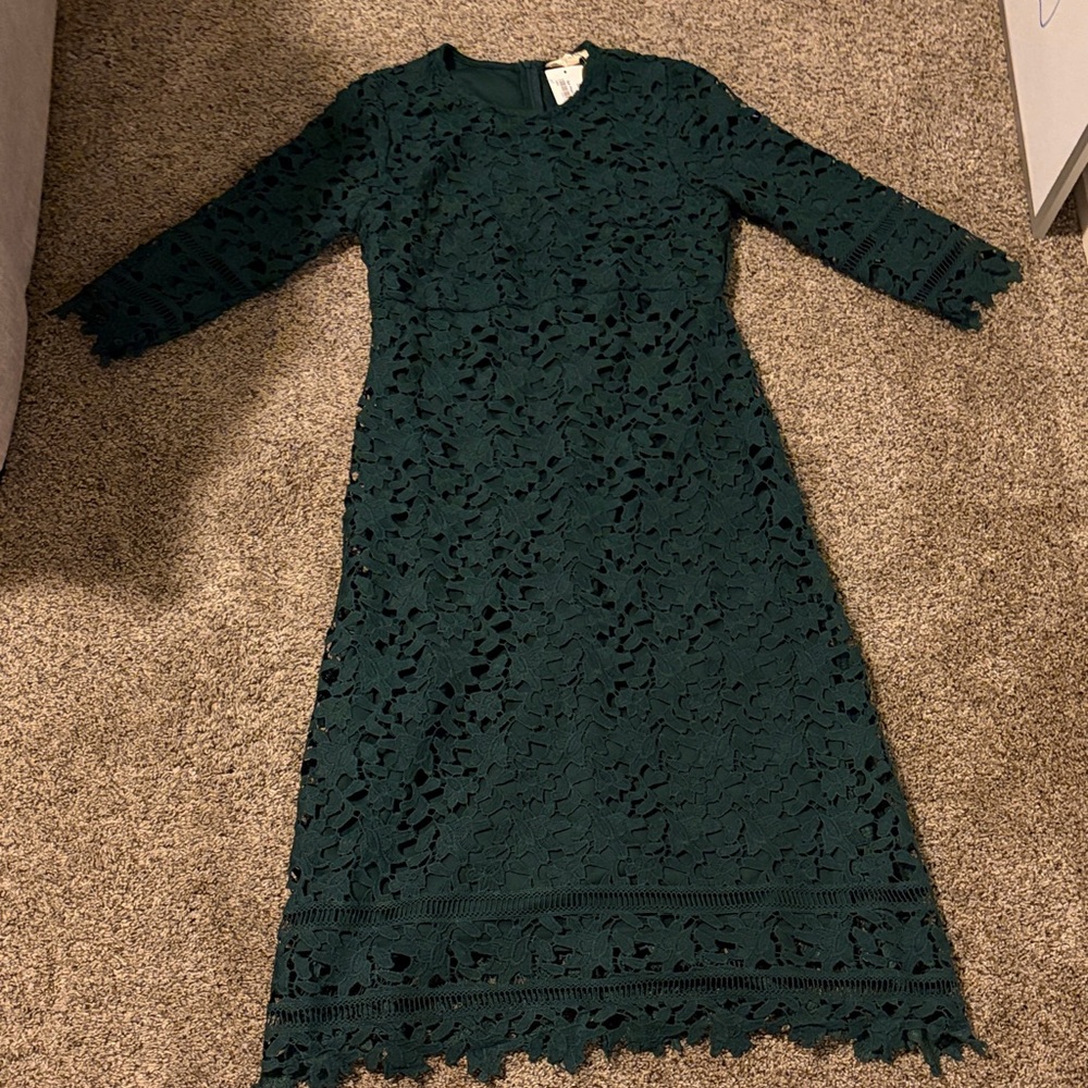 Chic Long Sleeve Lace Dress in Deep Green